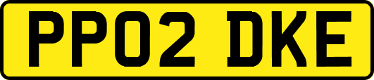 PP02DKE