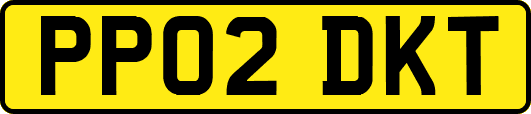 PP02DKT