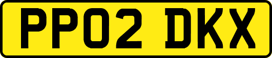PP02DKX
