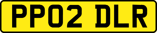 PP02DLR