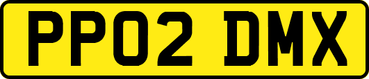 PP02DMX