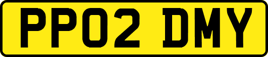 PP02DMY