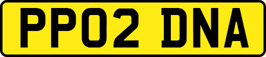 PP02DNA