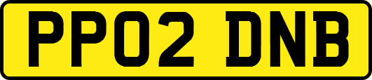 PP02DNB