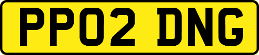 PP02DNG