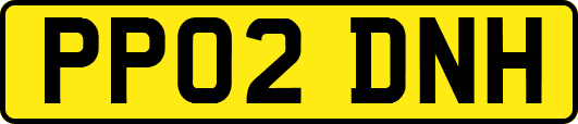 PP02DNH