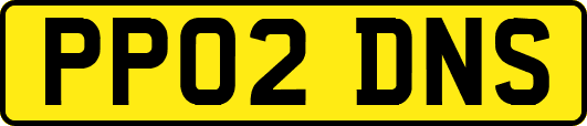 PP02DNS