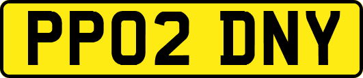 PP02DNY