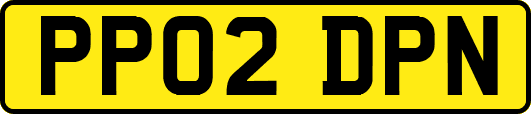 PP02DPN