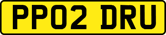 PP02DRU
