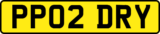 PP02DRY