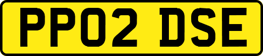 PP02DSE