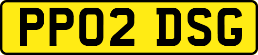 PP02DSG