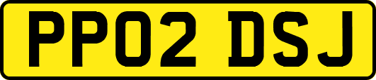 PP02DSJ