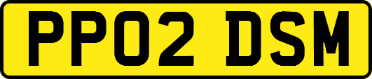 PP02DSM