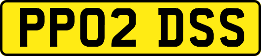 PP02DSS