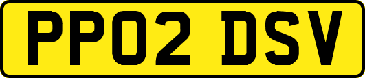 PP02DSV