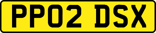 PP02DSX
