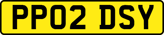 PP02DSY