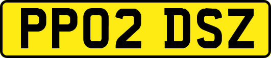 PP02DSZ