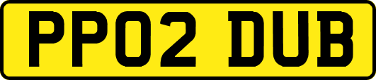PP02DUB