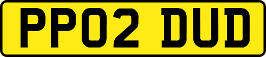 PP02DUD