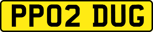 PP02DUG