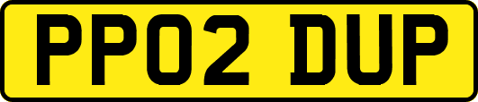 PP02DUP
