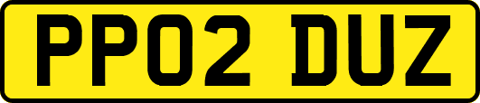 PP02DUZ