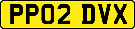 PP02DVX