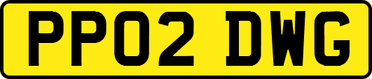 PP02DWG