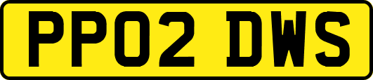 PP02DWS