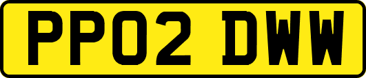 PP02DWW