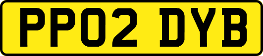 PP02DYB