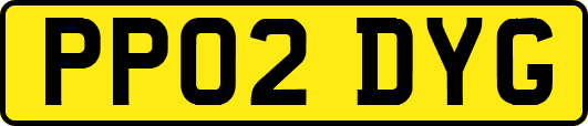 PP02DYG