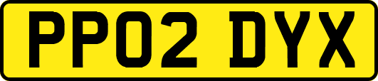 PP02DYX