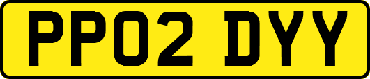 PP02DYY