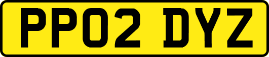 PP02DYZ
