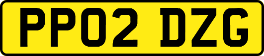 PP02DZG