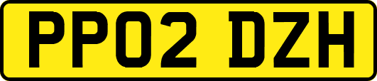 PP02DZH
