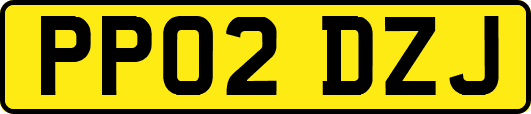 PP02DZJ