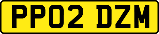 PP02DZM
