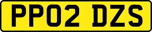PP02DZS