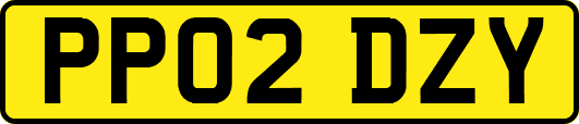 PP02DZY