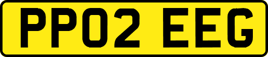 PP02EEG