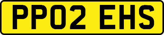 PP02EHS