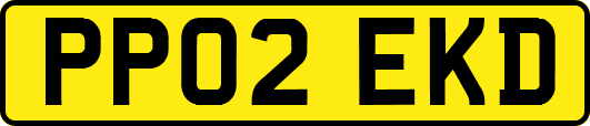 PP02EKD