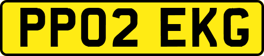 PP02EKG