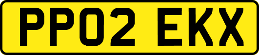 PP02EKX