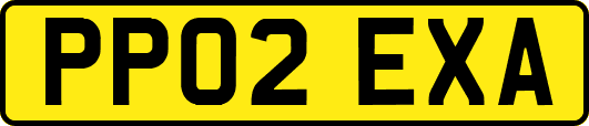 PP02EXA